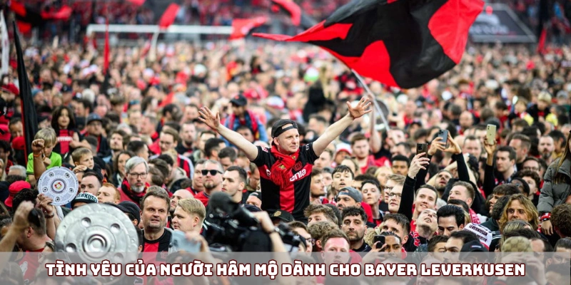 Tình yêu của người hâm mộ dành cho Bayer Leverkusen